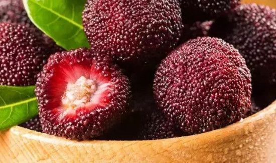 杨梅可以降火吗