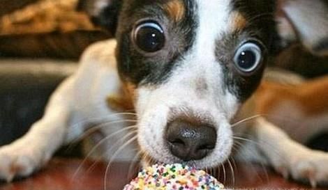 生日怎么过有意义