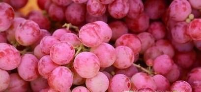 提子吃多了会怎么样？要注意哪些事项？