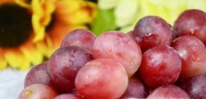 提子吃多了会怎么样？要注意哪些事项？