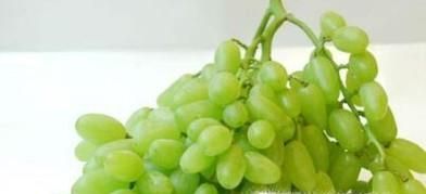 提子吃多了会怎么样？要注意哪些事项？