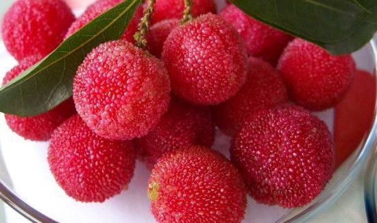 杨梅的功效及禁忌