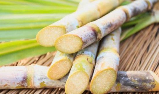 吃甘蔗的禁忌