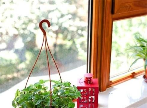 租的房子很小怎么布置