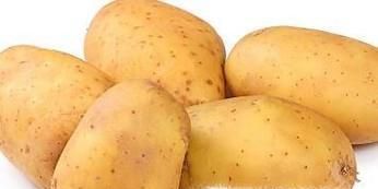 土豆有哪些营养？