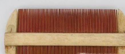 头虱子怎么彻底去除