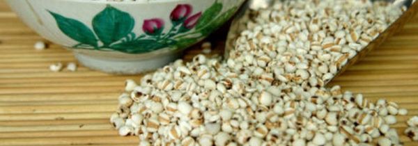 小薏米仁的功效与作用