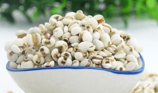 小薏米仁的功效与作用