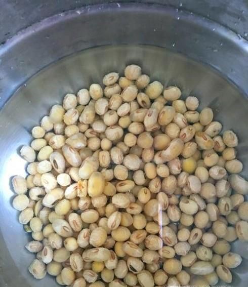 如何处理已经长蛀虫的黄豆