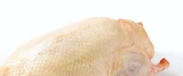 鸭子肉的功效与作用