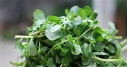 小孩被马蜂蛰了怎么办