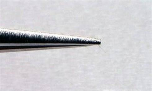 小孩被马蜂蛰了怎么办