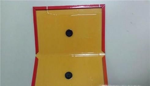 如何有效地在家中有效地防治老鼠？