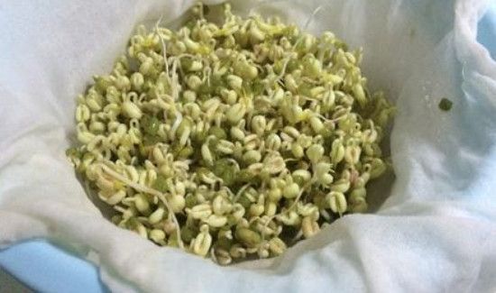 绿豆泡了一夜发芽了还能做绿豆汤吗