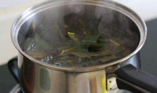 杨桃叶煮水功效与作用