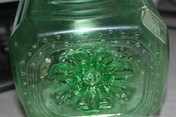 如何发豆芽又快又好