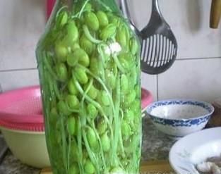 如何发豆芽又快又好