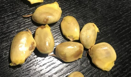 菠萝蜜核一次能吃多少