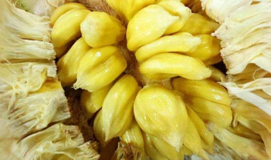 菠萝蜜冷冻了一个月还能吃吗