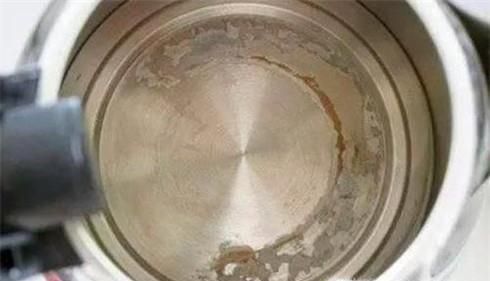 我们如何祛除电水壶的水垢