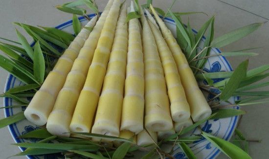 小竹笋的功效和作用禁忌
