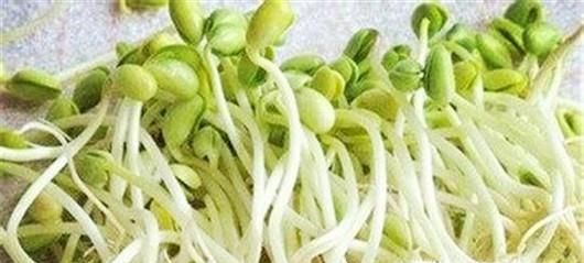 怎样让衣服上的霉斑霉渍消失