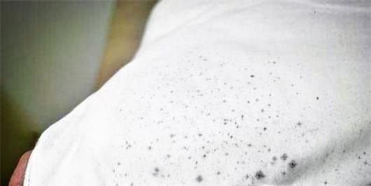 怎样让衣服上的霉斑霉渍消失