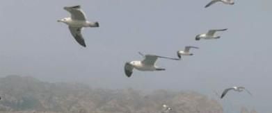 台风来临前的预兆