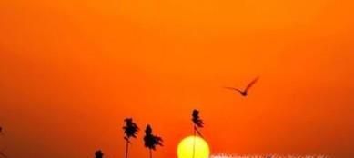 台风来临前的预兆