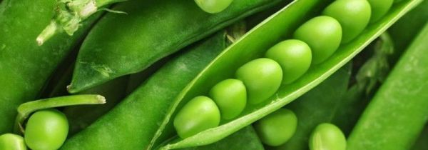 豌豆发酵了有酒味还能吃吗