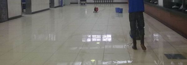 如何去蟑螂小妙招