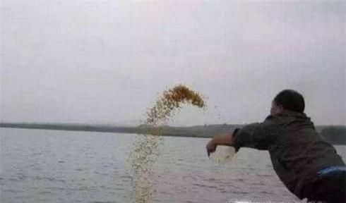 秋季夜间钓鱼技巧