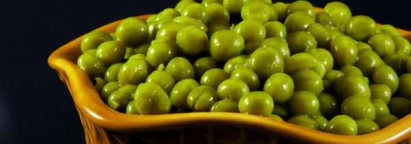 青豆放冰箱长芽能吃吗