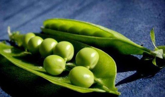 青豆放冰箱长芽能吃吗