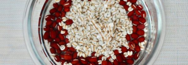 红豆薏米茶怎么喝