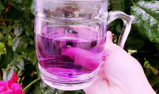 黑枸杞泡水一次放几粒