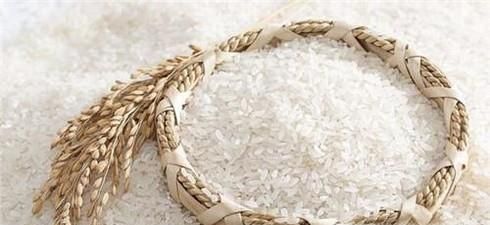 五常大米的储存方法