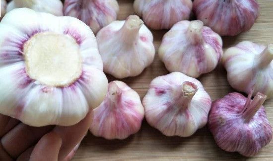 大蒜腌多长时间可以吃