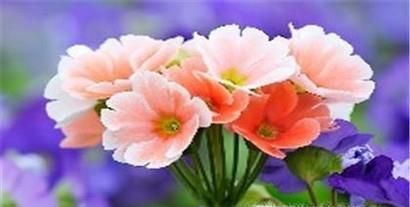 教师节给老师送什么礼物以及需要注意什么？