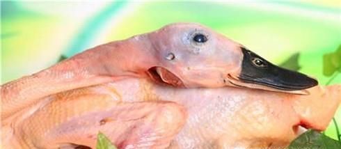 白露节气吃什么？