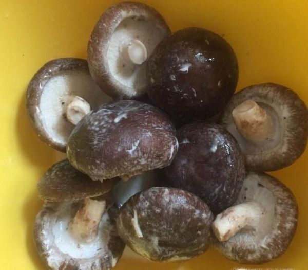 如何清洗香菇才更干净且安全？