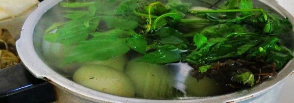 艾草根煮鸡蛋的功效