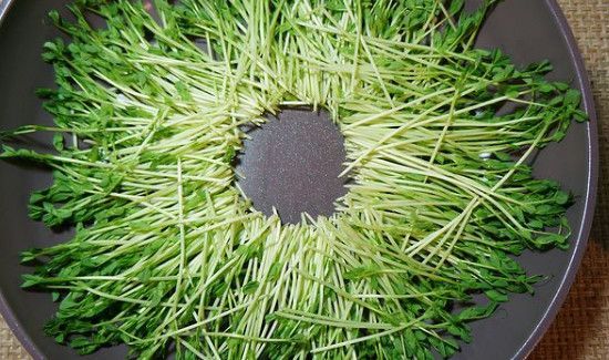 自发豌豆芽的妙招
