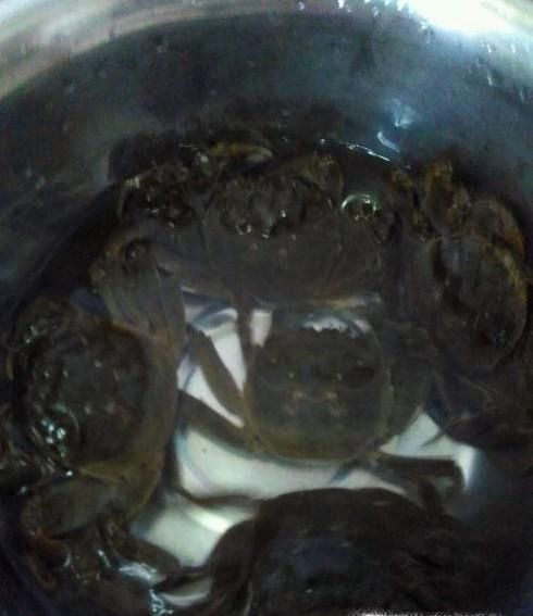 螃蟹钳子上的毛怎么去掉