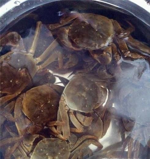 螃蟹钳子上的毛怎么去掉