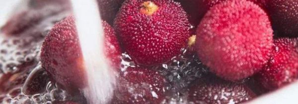 杨梅怎么清洗泡酒