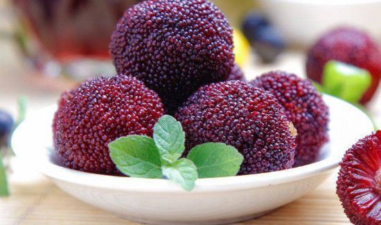 杨梅怎么清洗泡酒