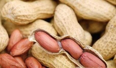 螃蟹不能和什么一起食用