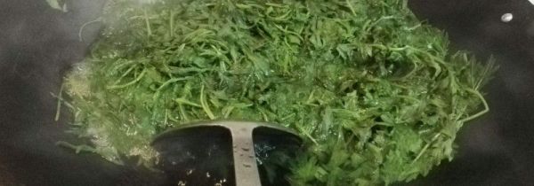 刚摘的艾叶能洗澡吗