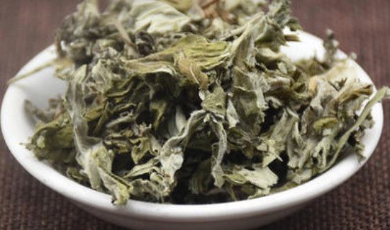 刚摘的艾叶能洗澡吗